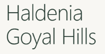 Haldenia Real Estate Pvt. Ltd.